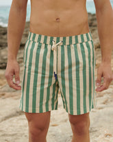 Printed Macro Stripes Swim Shorts |