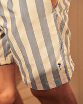 Printed Macro Stripes Swim Shorts - Printed Swimshorts | 