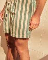 Printed Macro Stripes Swim Shorts - Printed Swimshorts | 